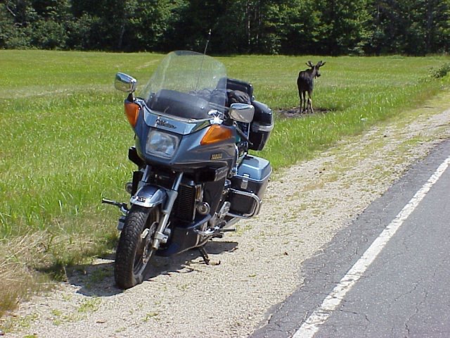 ME17 near Mooselookmeguntic Lake