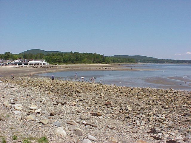 Lobster Lunch in Lincolnville