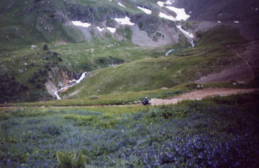 Ouray