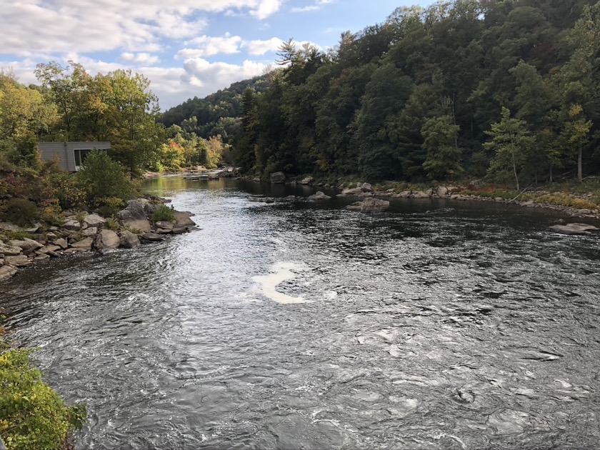 Ohiopyle Falls