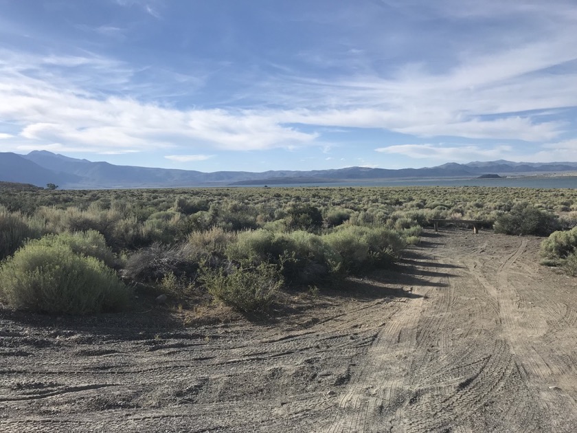 Mono Lake