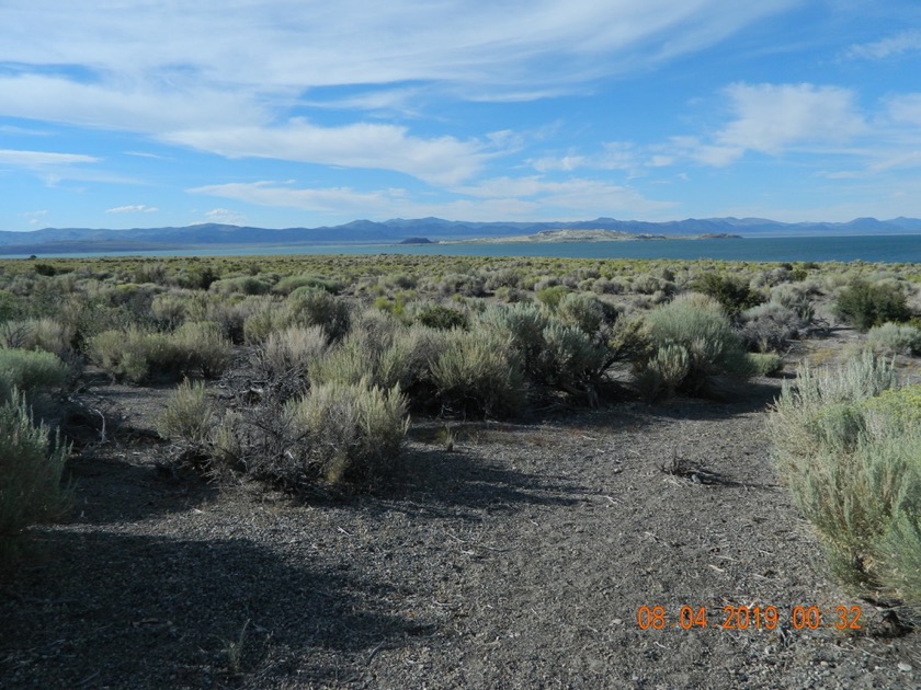 Mono Lake