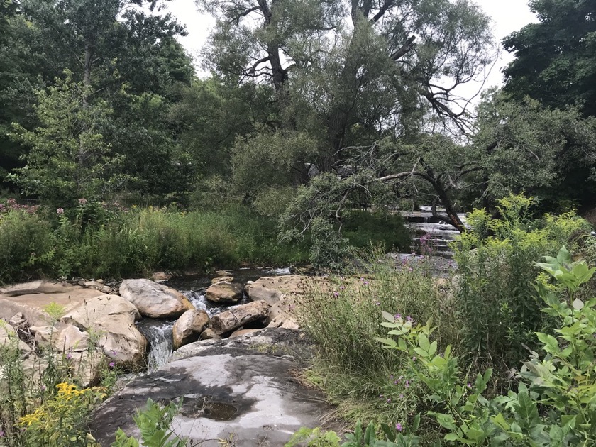 Chittenango Falls State Park