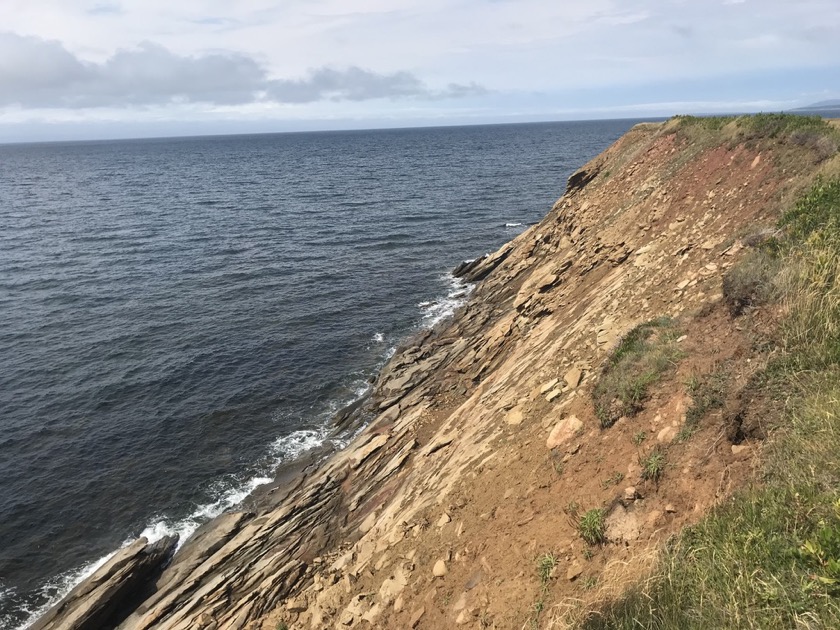 Whale Cove NS