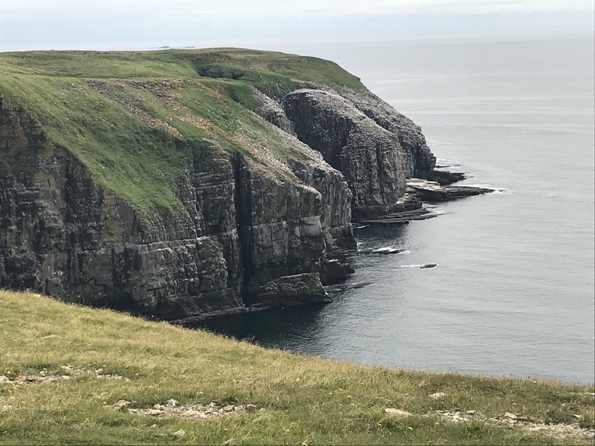 Cape St Mary's