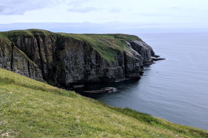 Cape St Mary's