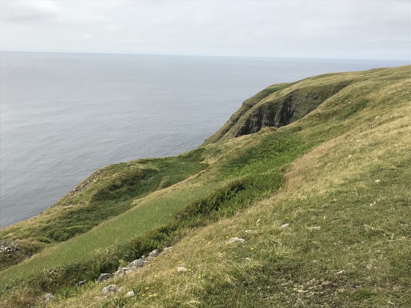 Cape St Mary's