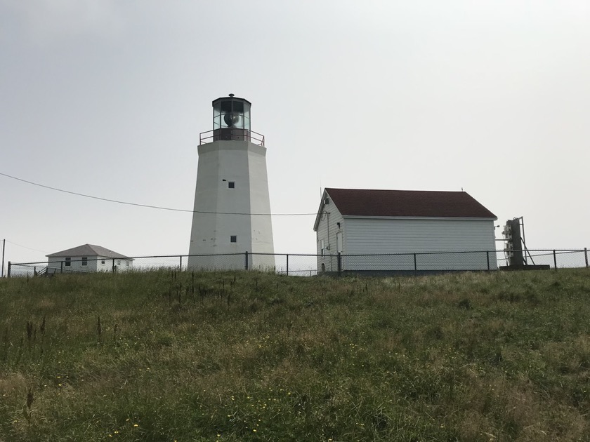 Cape St Mary's