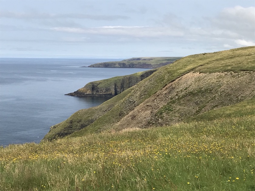 Cape St Mary's