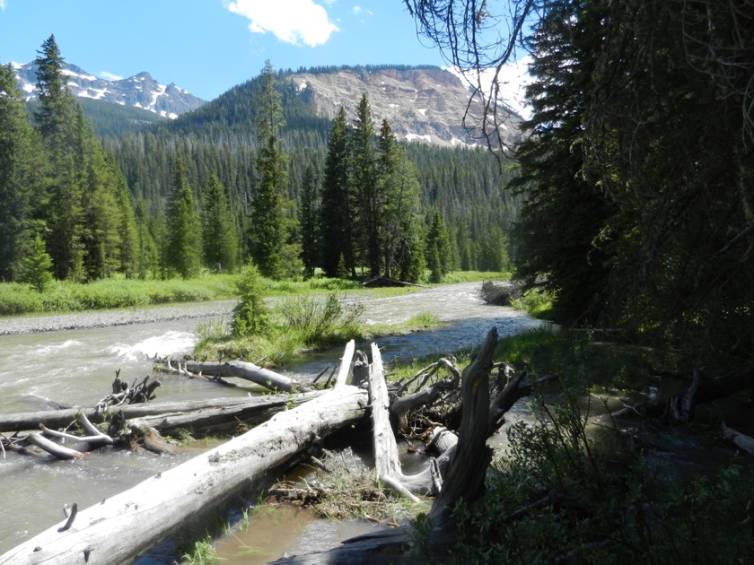 Yellowstone Park