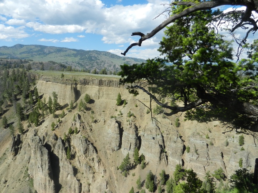 Yellowstone River