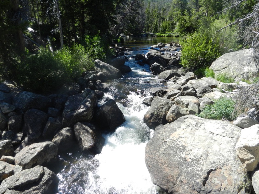 Creek near Louis Lake