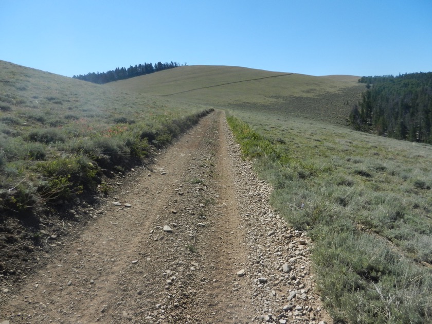 Climbing up Indian Ridge