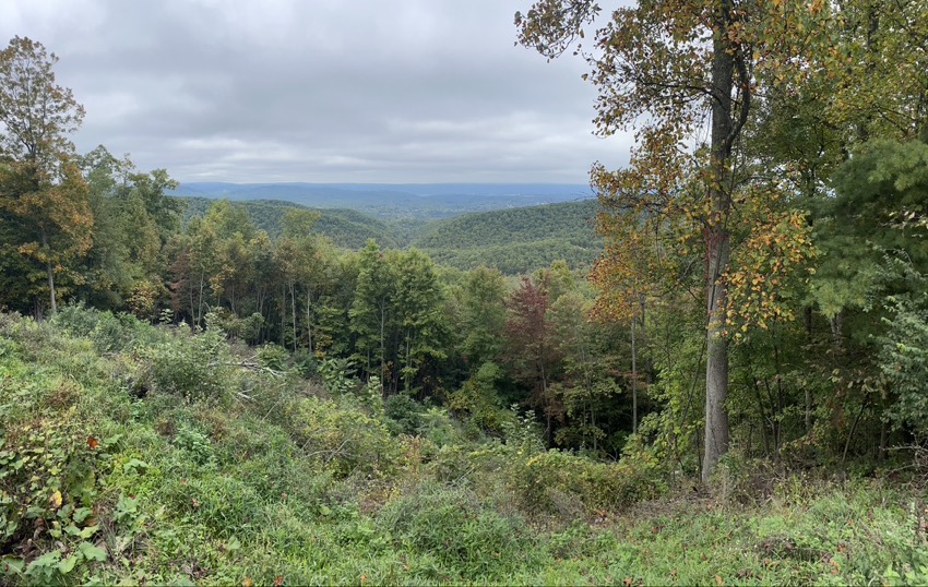 Draper's Valley Overlook