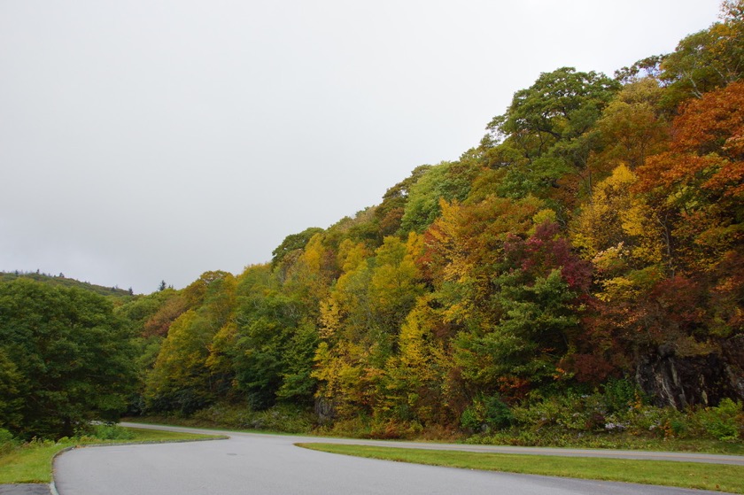 Blue Ridge Parkway 