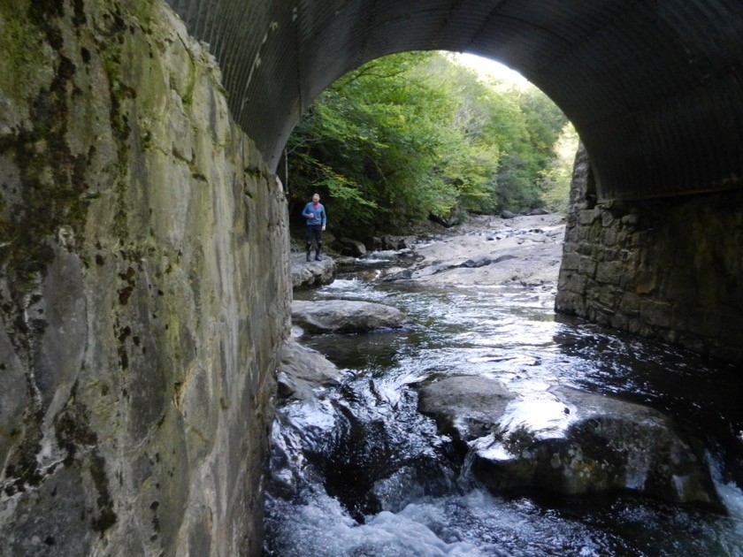 Three Arch Bridge