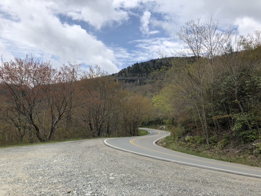 US221 - Under Lincove Viaduct