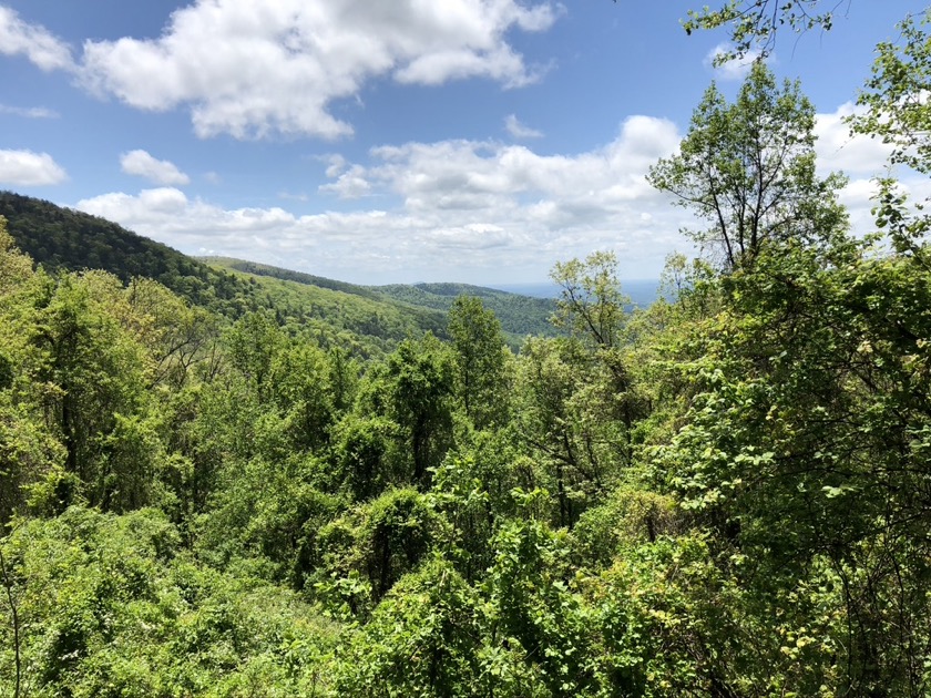 Blood Mountain Store