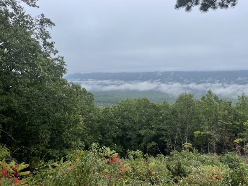 Potts Mountain Wayside