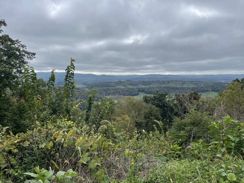 Draper's Valley Overlook