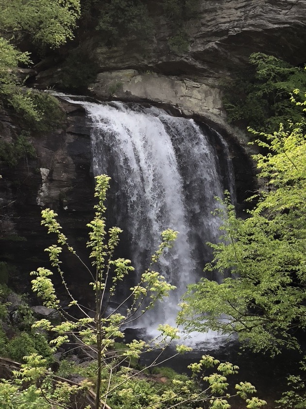 Looking Glass Falls