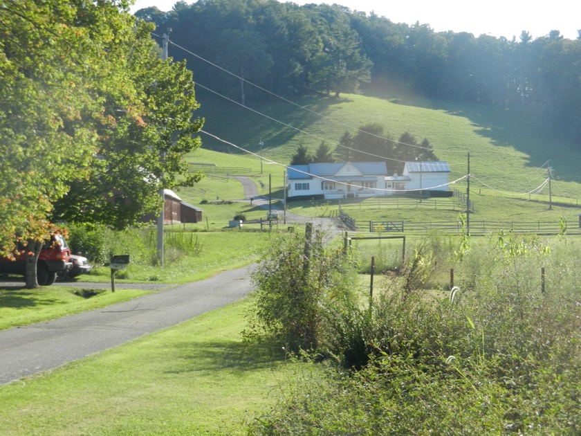 Grandmother's House