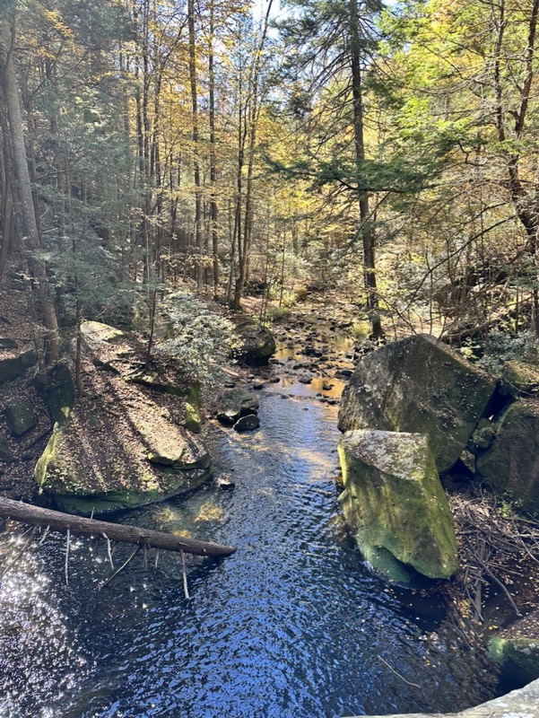 Flat Lick Falls