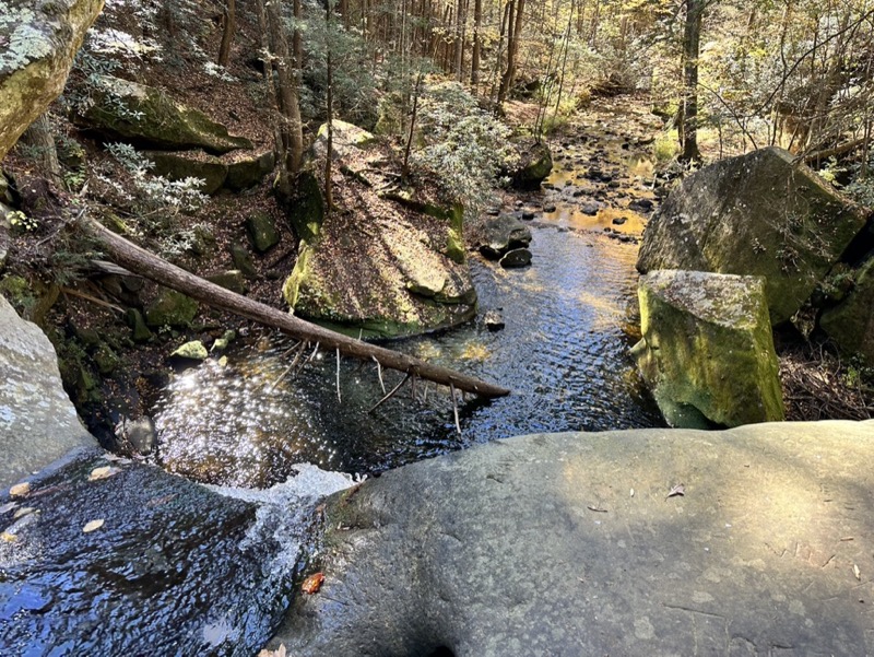 Flat Lick Falls