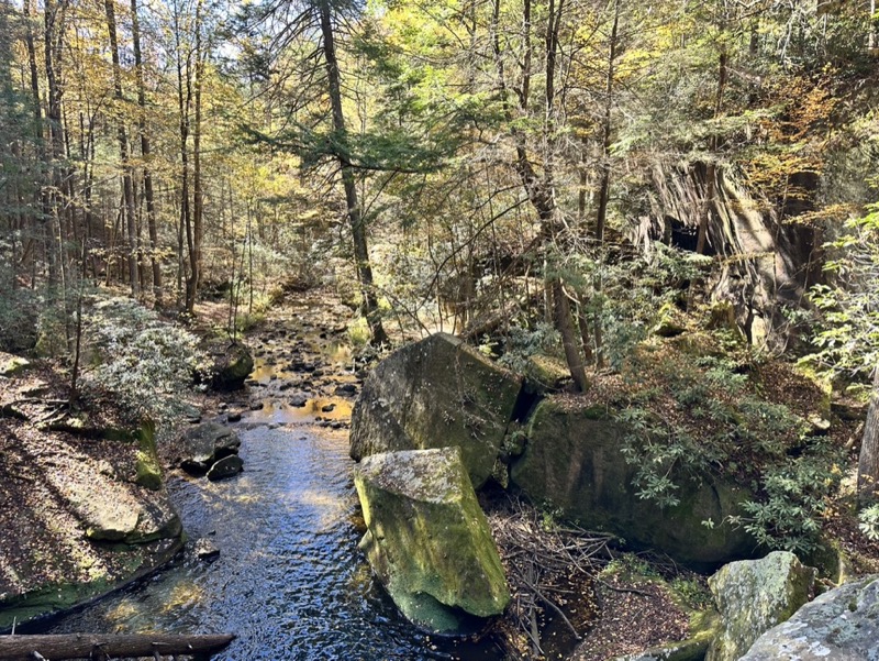 Flat Lick Falls