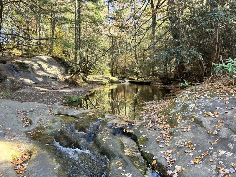 Flat Lick Falls